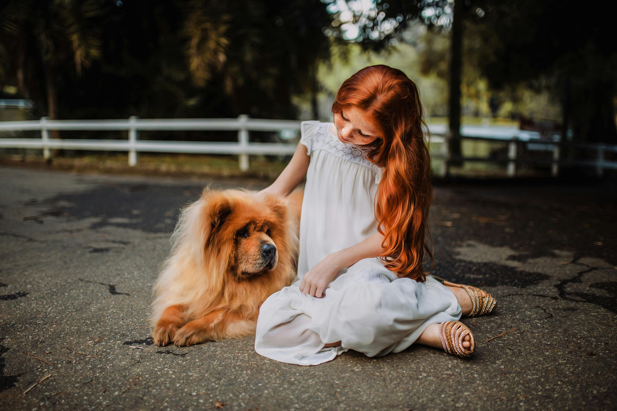 Dog Leash Types: Find the Best One for Your Pup