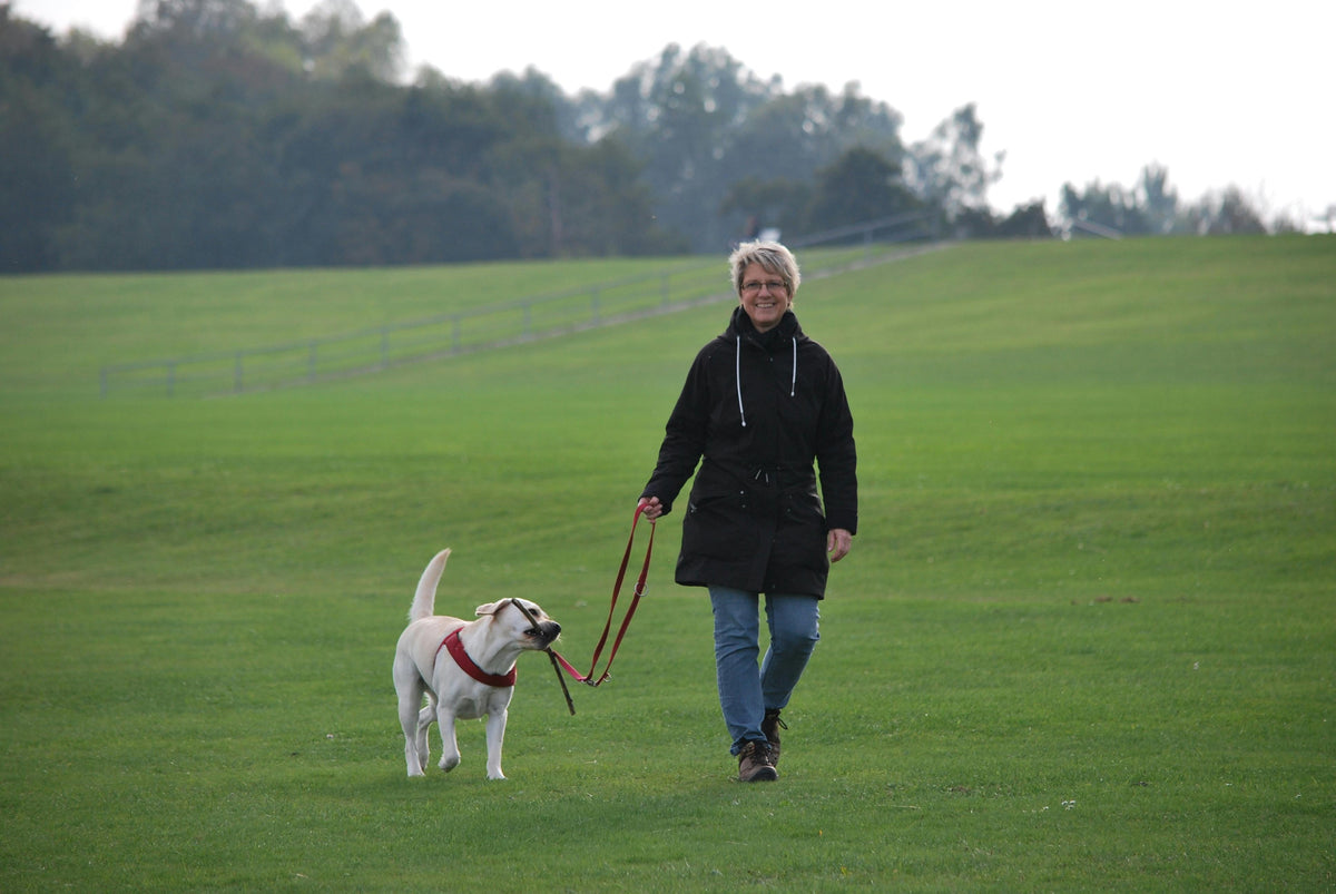 Reflective Dog Leash Safety: See and Be Seen at Night