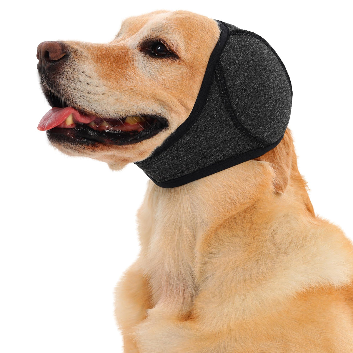 Dog & Cat Calming Ear Wrap