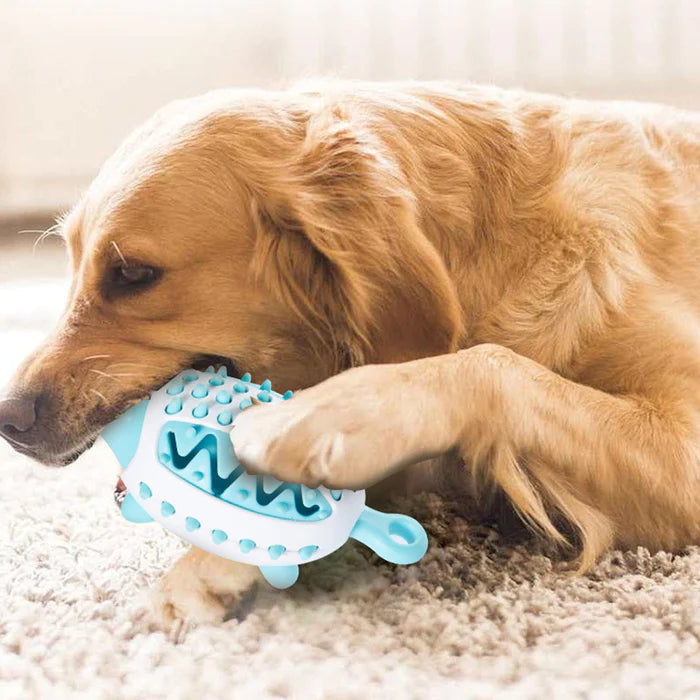 Dog supplies
