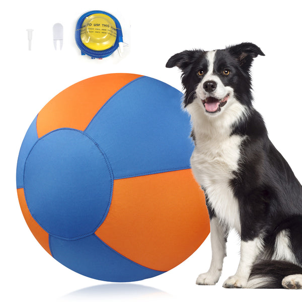 Herding Ball for Dogs