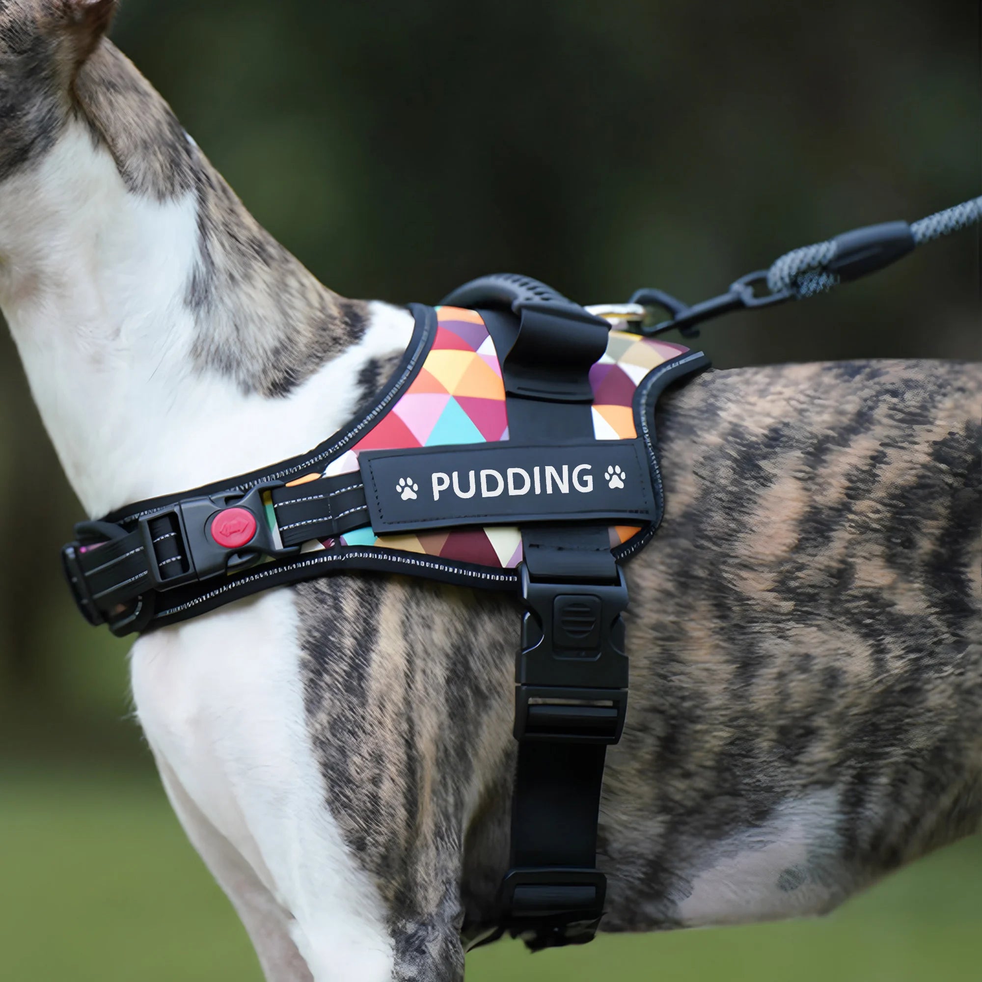 Harnais Réfléchissant Personnalisé pour Chien avec Nom – Gilet Réglable Anti-Traction