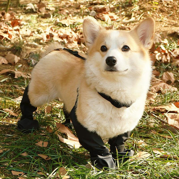 Waterproof Slingback Boots for Dogs