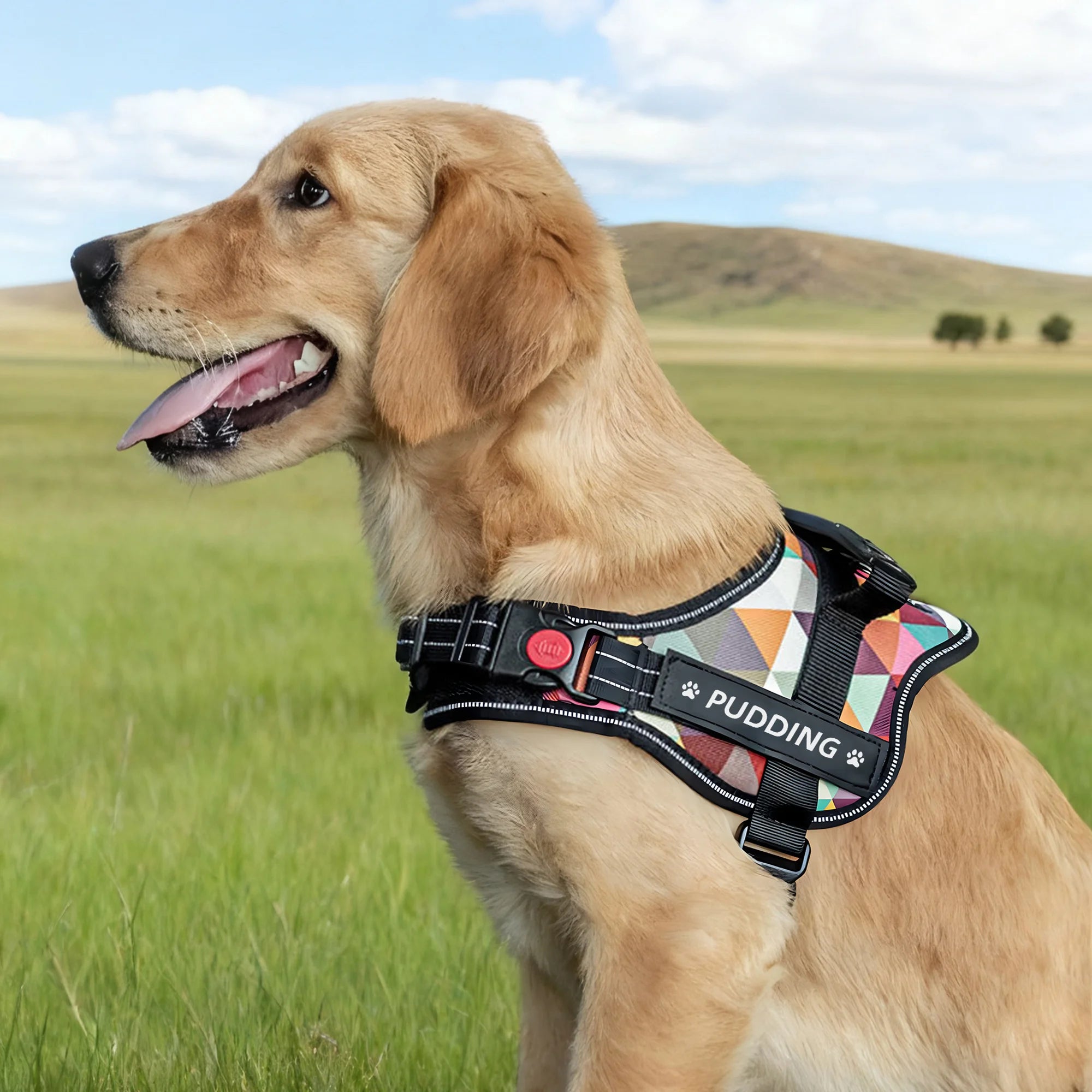 Harnais Réfléchissant Personnalisé pour Chien avec Nom – Gilet Réglable Anti-Traction