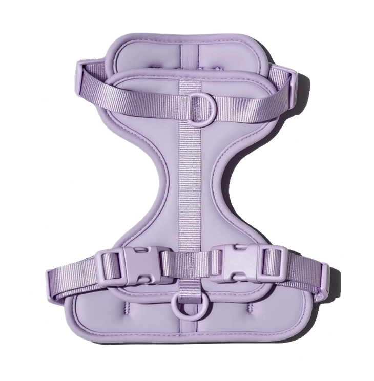 Dachshunds Harness