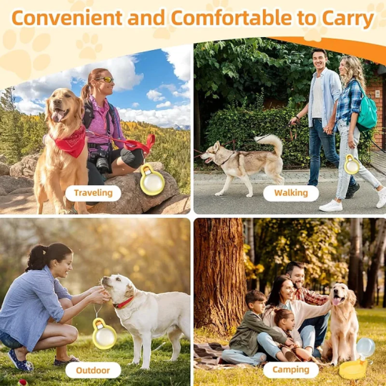 Bouteilles portables pour l'eau des chiens de compagnie