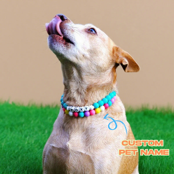 Personalized Beaded Pet Collar with Name Custom Dog Friendship Double Layer Collar Gift for Pet Lover