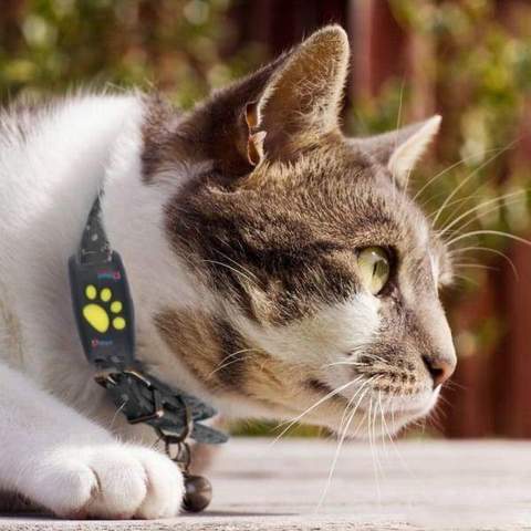GPS Tracker Locator Device For Pets