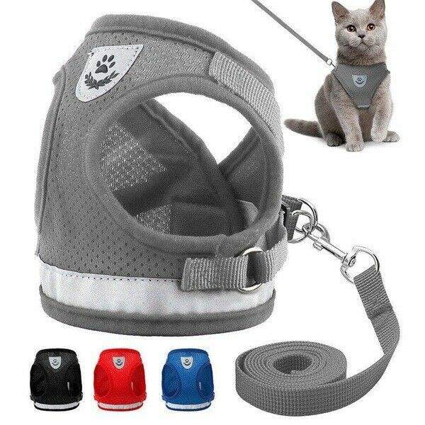 Ensemble harnais et laisse pour chaton et chat réfléchissant « The True Adventurer »