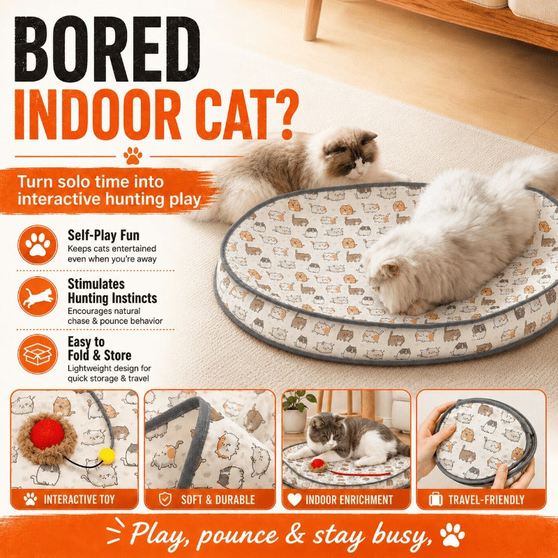 Tapis de chasse automatique pour chat