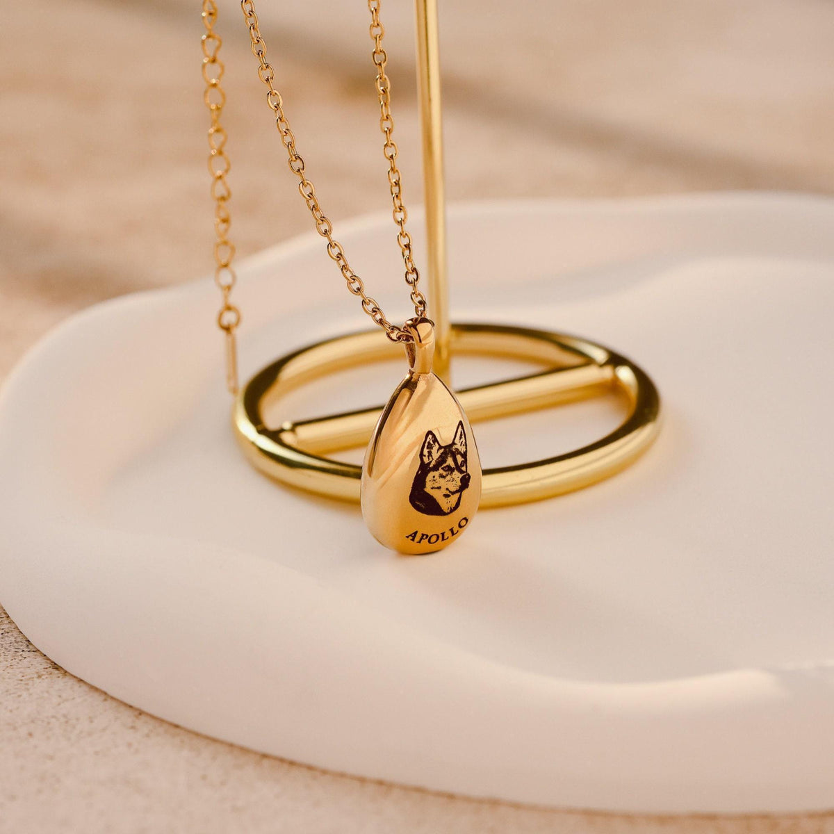 Collier personnalisé avec cendres d'animaux gravé