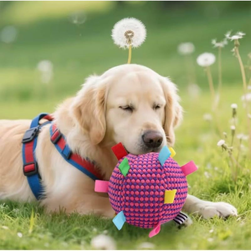 Jouet interactif en peluche pour chien - 2 paquets