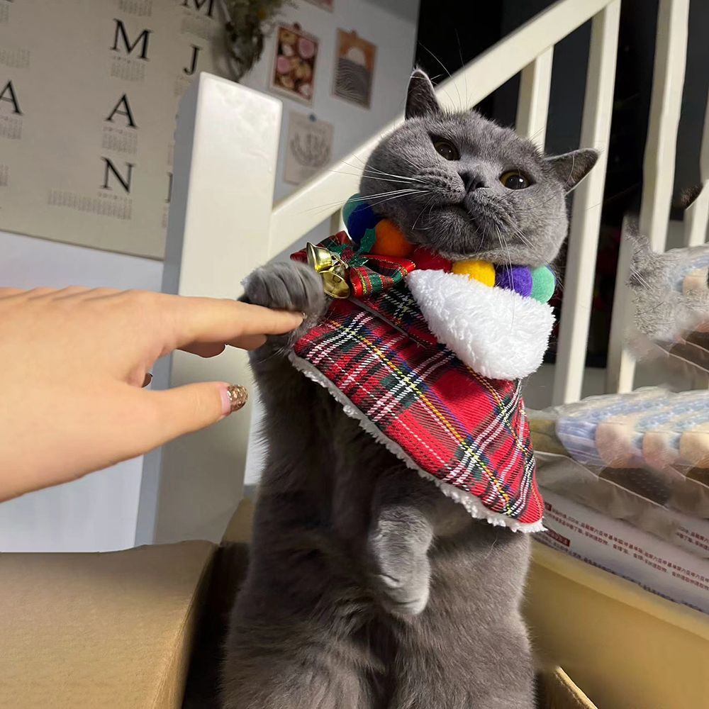Foulard de Noël pour animaux avec col en peluche