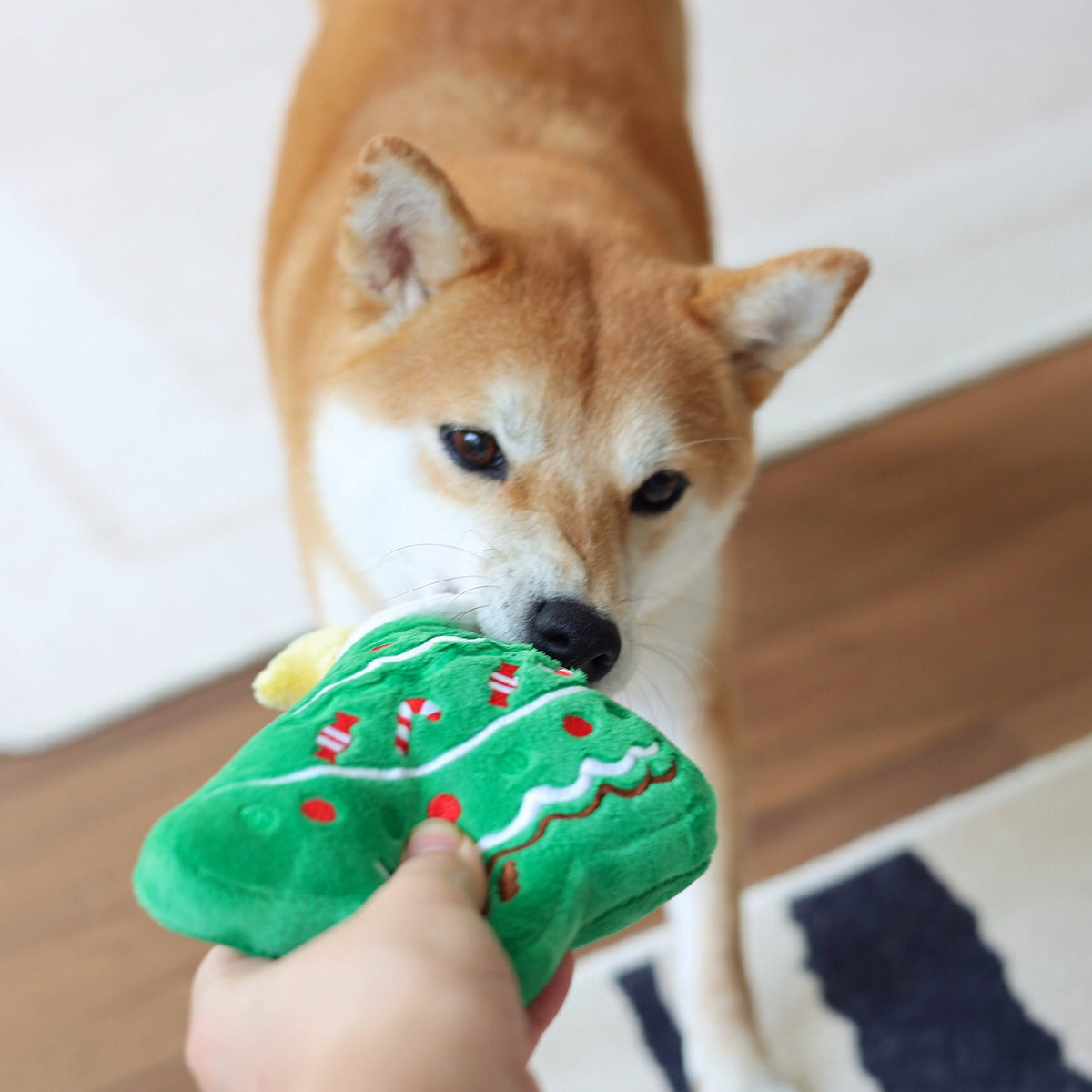 Jouets couineurs en peluche pour chien – Sapin de Noël
