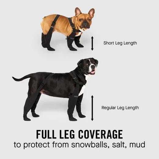 Bottes à bretelles pour chiens