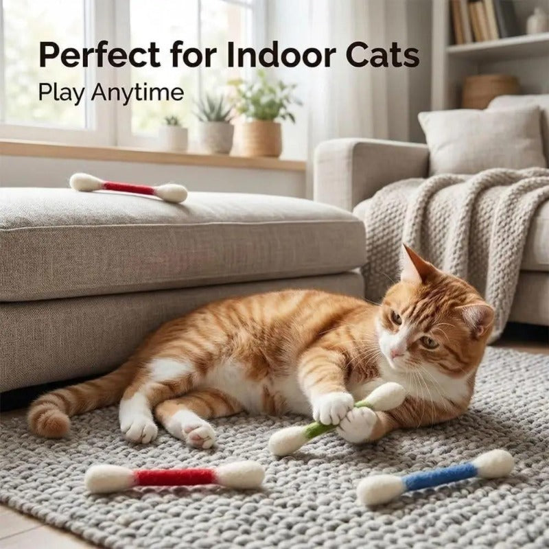 Jouet à mâcher résistant pour chat