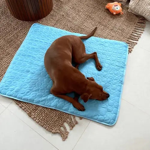 Summer Pet Cooling Mat