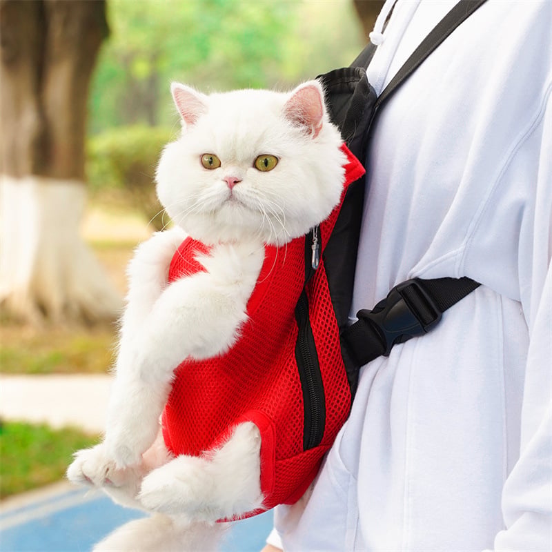 Sac à dos de transport pour animaux de compagnie🐶🐱