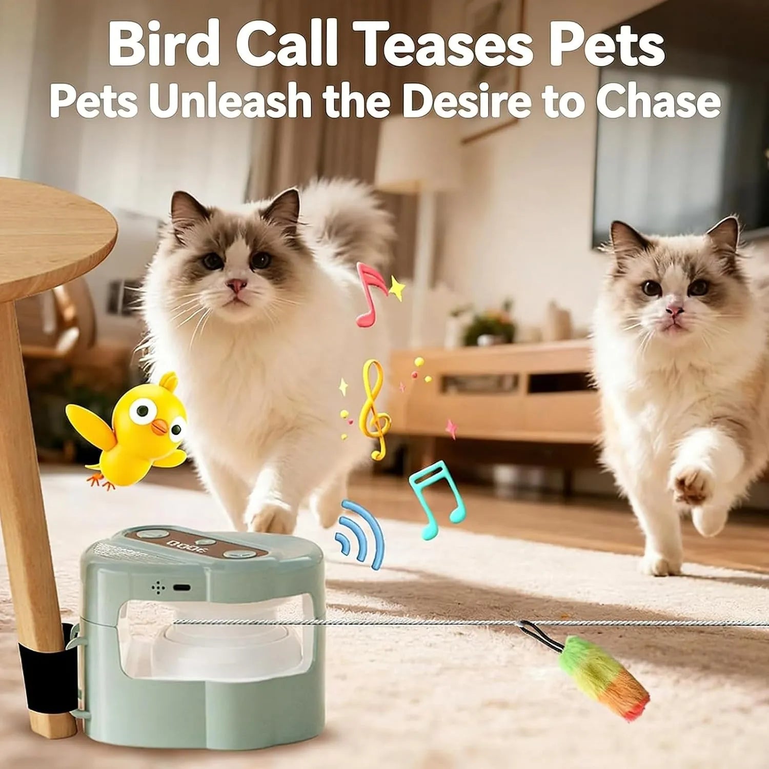 Jouet excitant électrique pour chat avec télécommande