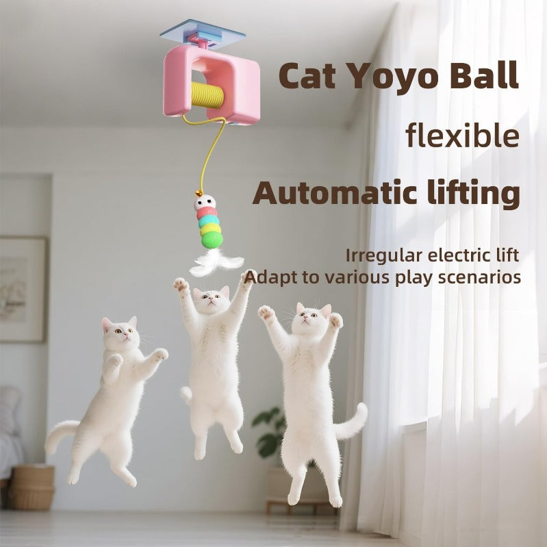 AutoBounce USB-C Hoche-Chat Plafond