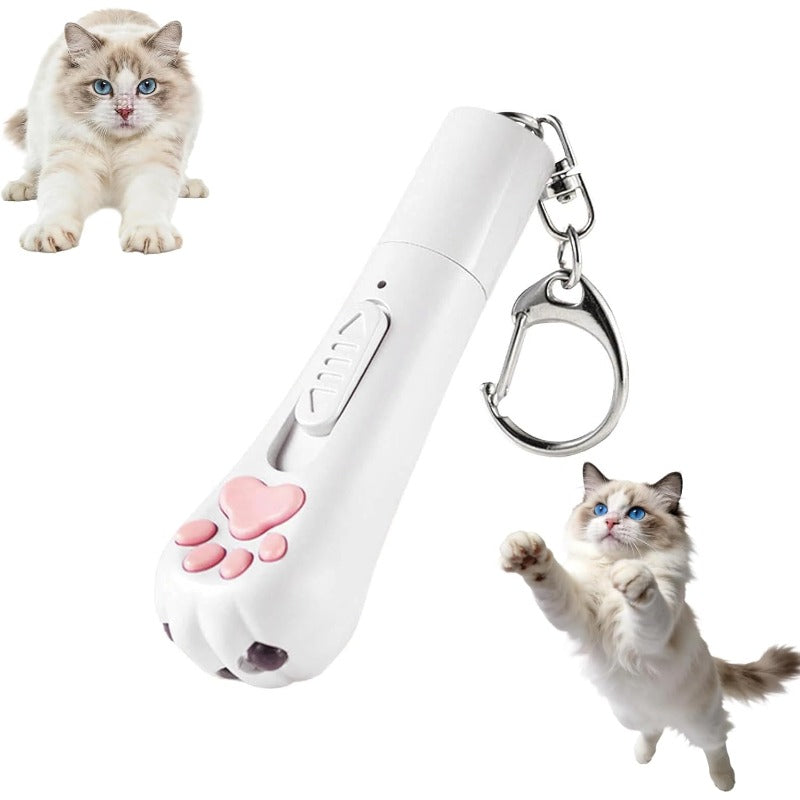Pointeur laser pour chat rechargeable par USB
