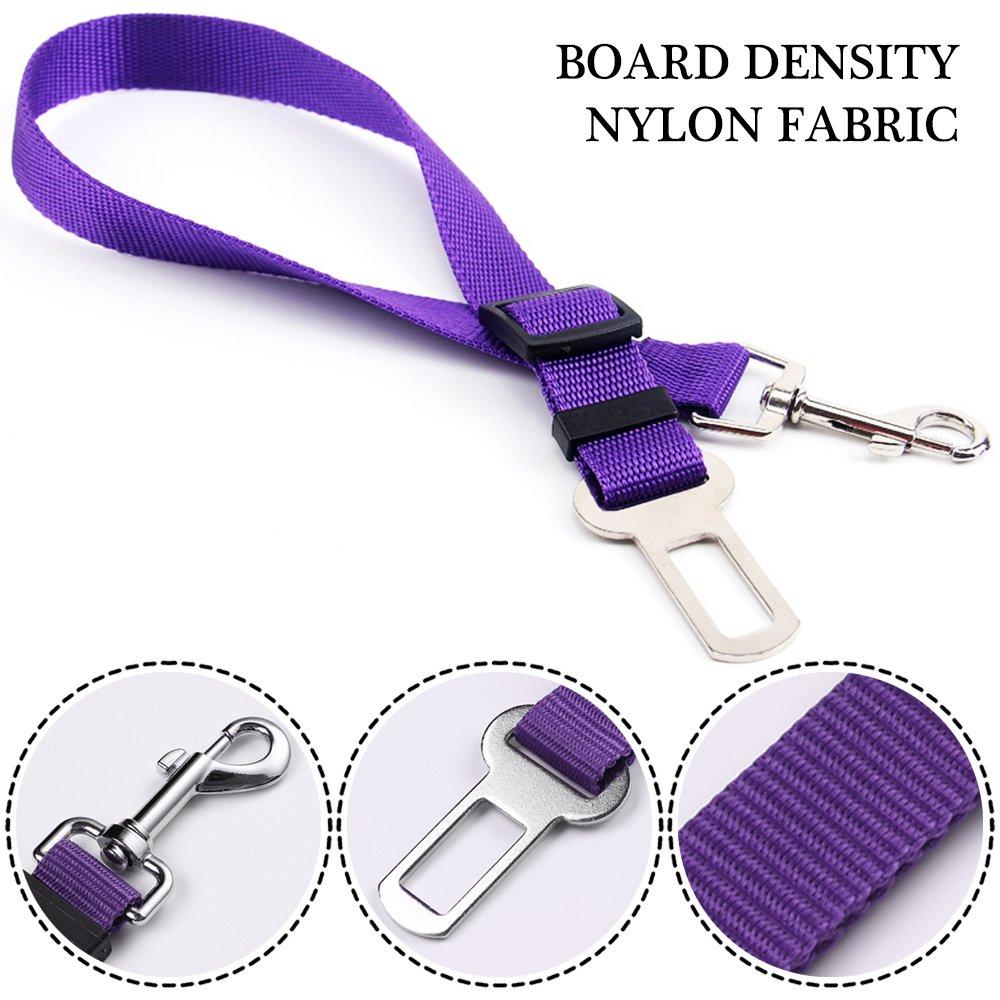 Ceinture de sécurité pour chiens