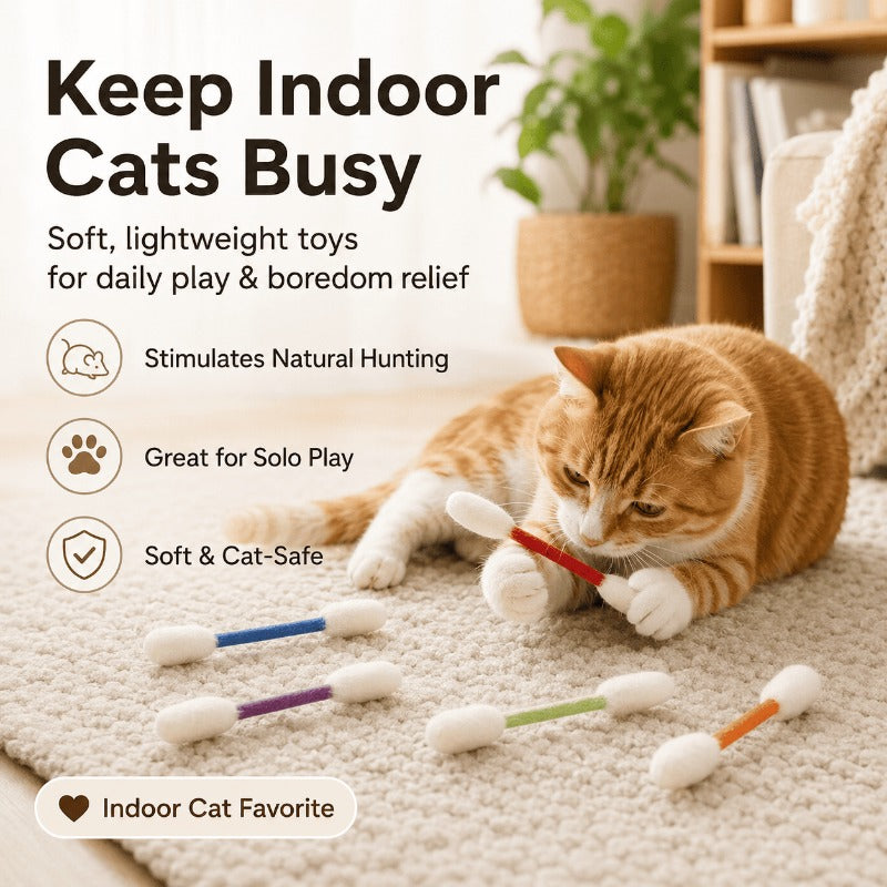 Jouet à mâcher résistant pour chat
