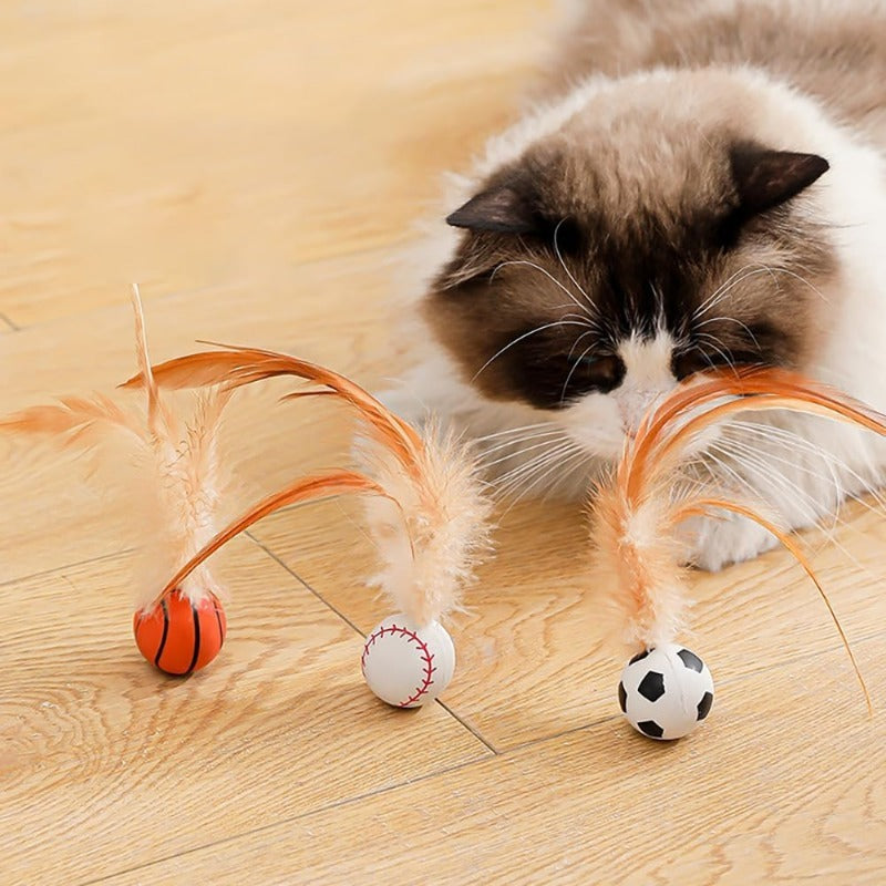 Ensemble de Jouets Interactifs avec Balle en Plumes pour Chats