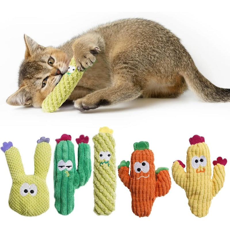 Jouets pour chats en forme de cactus à l'herbe à chat biologique