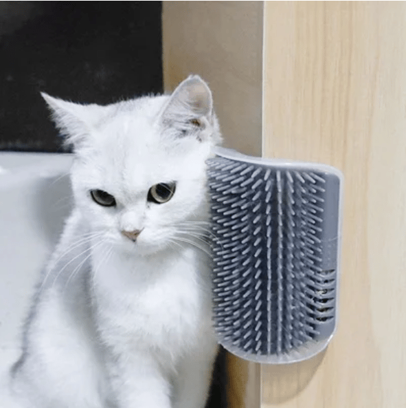 🔥🔥Brosse de massage toilettage pour chat🌙
