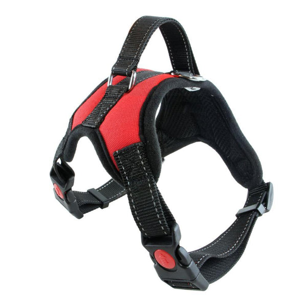 Pet Chest Harness