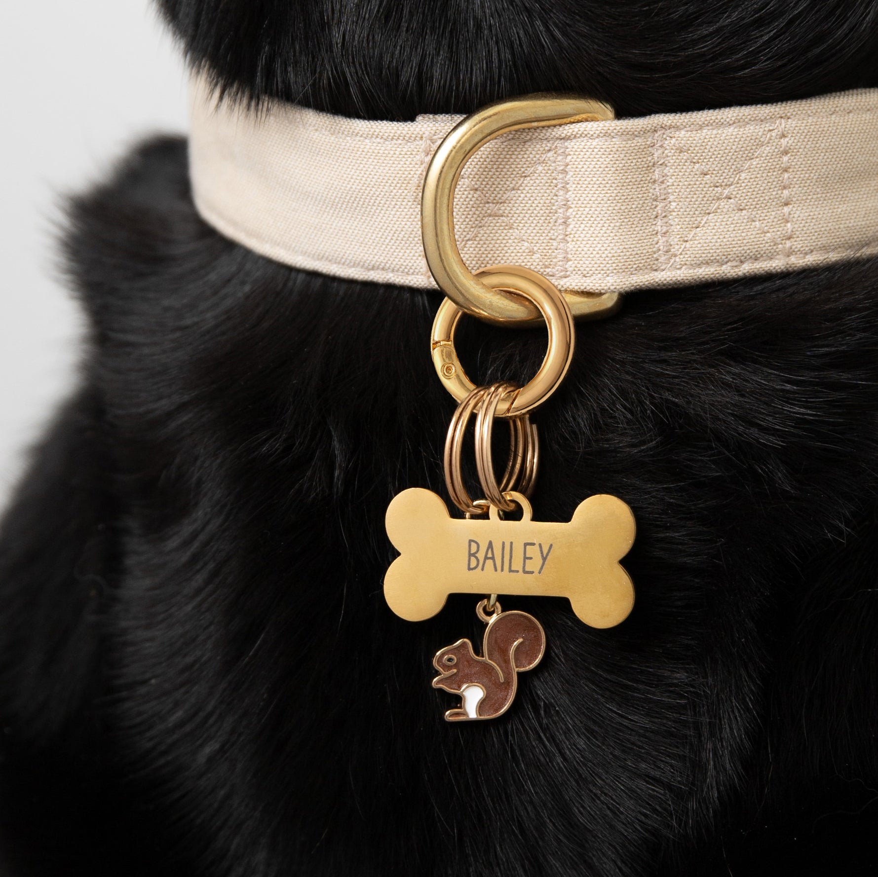 Médaille d'identification en métal en forme d'os pour animaux de compagnie