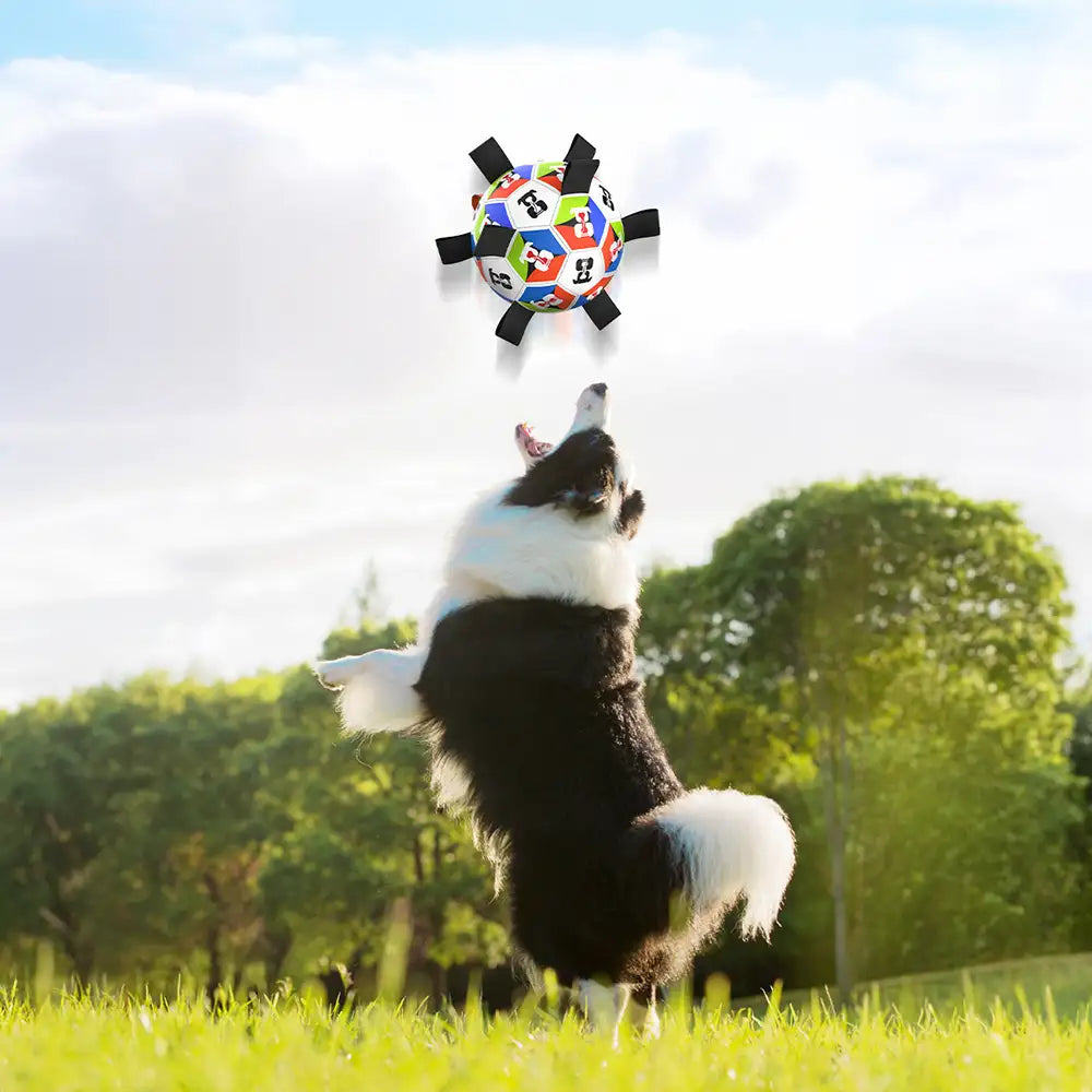 Ballon de football pour chien avec sangles Jouet interactif