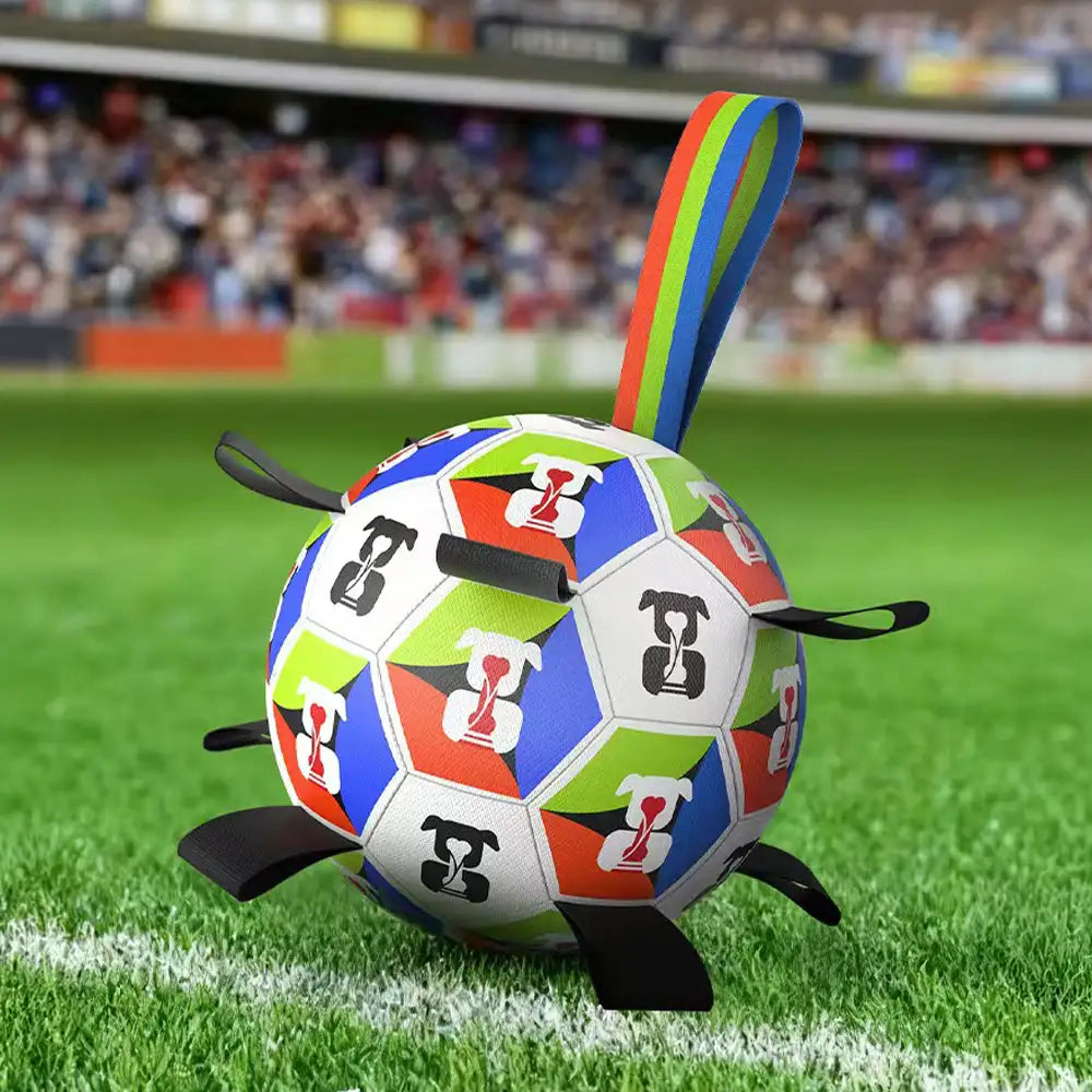 Ballon de football pour chien avec sangles Jouet interactif