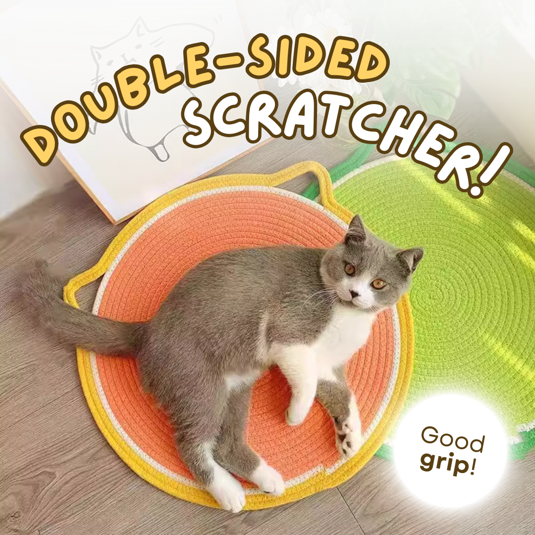 YoPoll Double Griffoir
