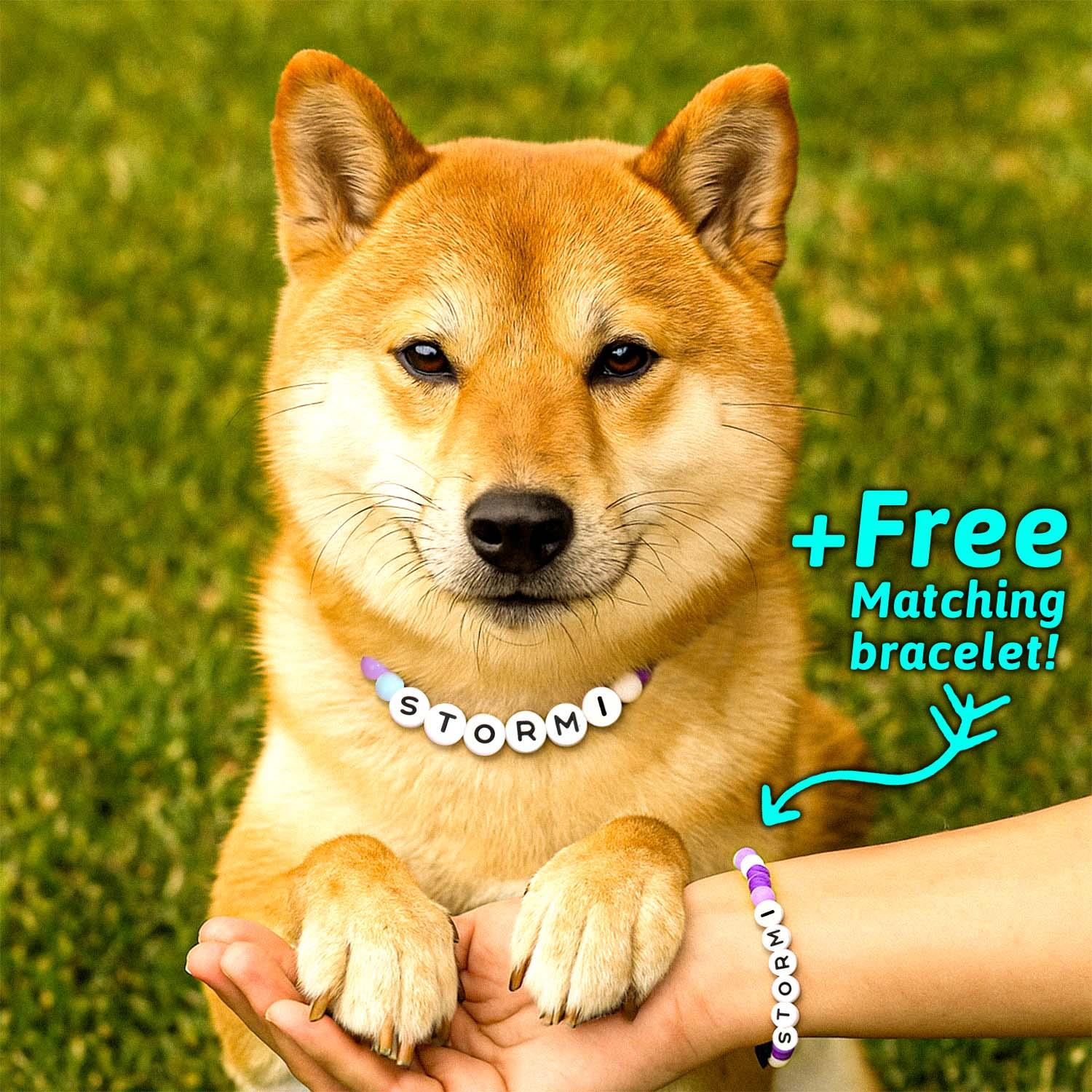 Collier Personnalisé pour Animal de Compagnie avec Perles et Nom – Inclut un Bracelet Assorti Gratuit