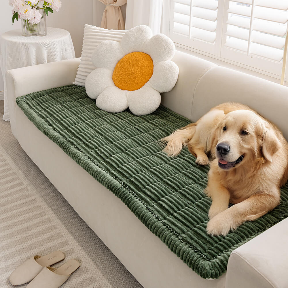 Tapis pour animaux de compagnie en flanelle douce et respirante, antidérapant pour canapé
