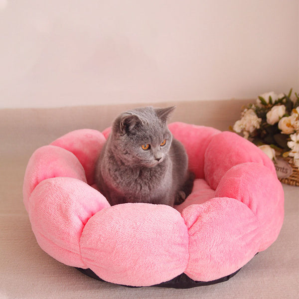 Cat Bed Petal Shaped