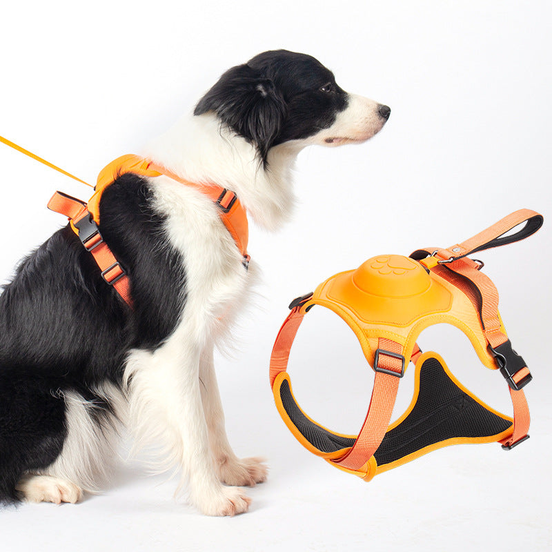 Harnais rétractable pour chien