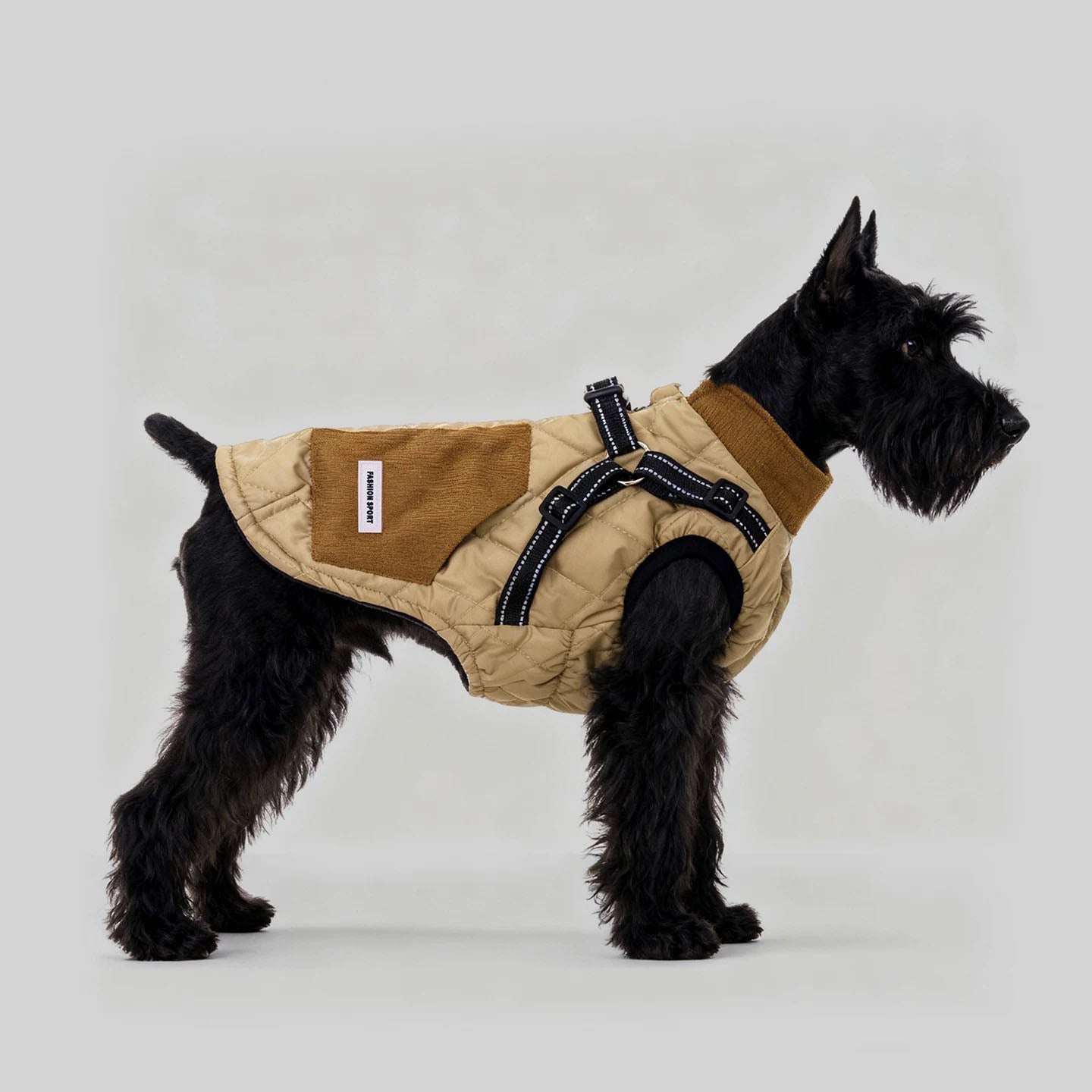 Manteau d'hiver pour chien