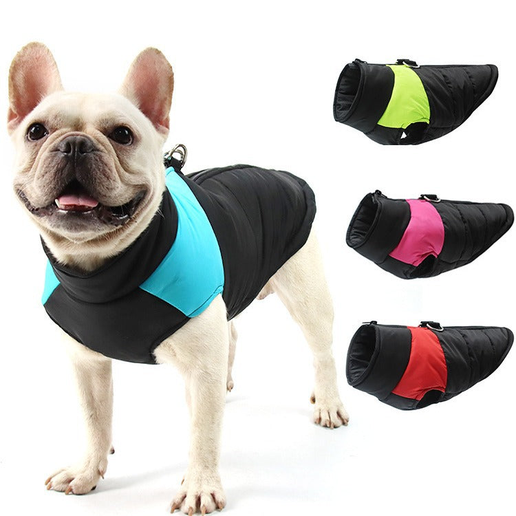 Manteau chaud et imperméable pour chien