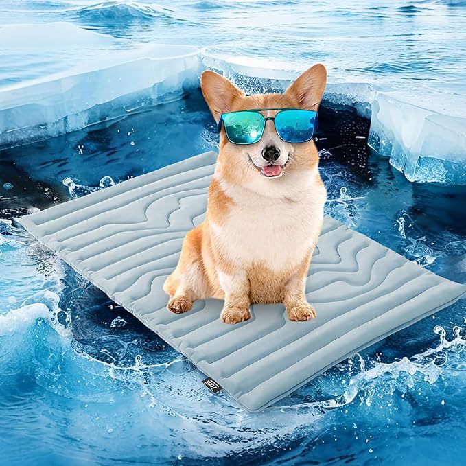 Tapis rafraîchissant pour chien