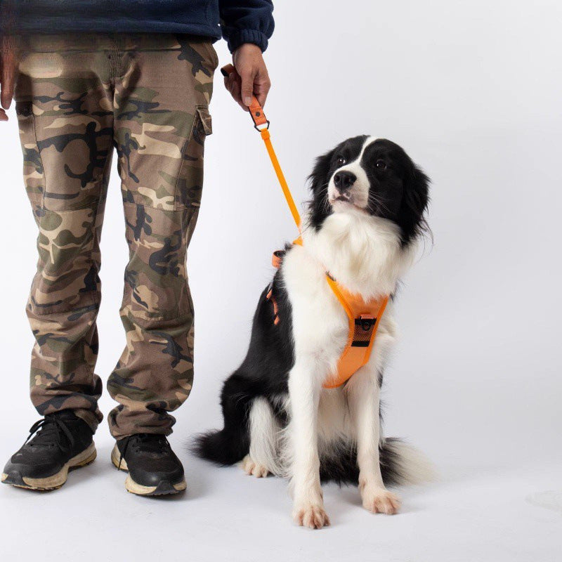 Harnais rétractable pour chien