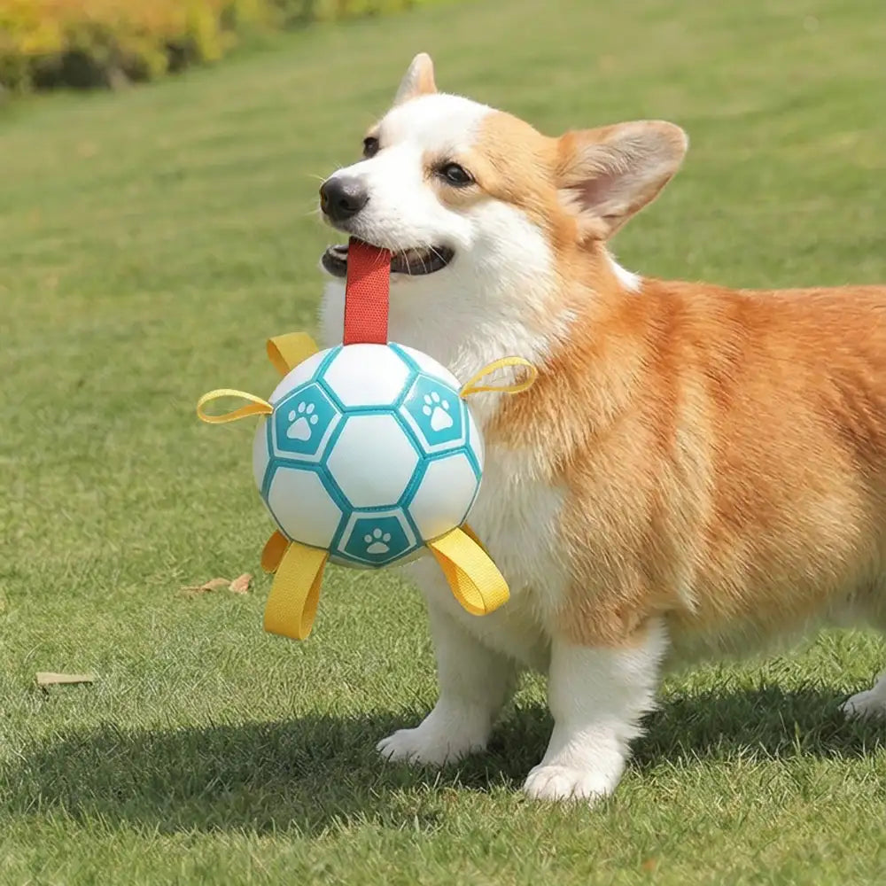Balle de football à empreintes de pattes pour chien, jouet à mâcher avec lanières