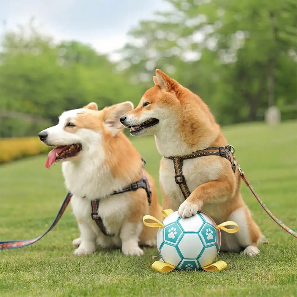 Balle de football à empreintes de pattes pour chien, jouet à mâcher avec lanières