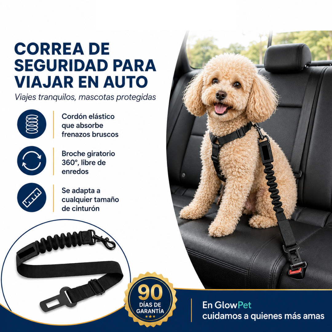 Pet Safety Belt for the Car