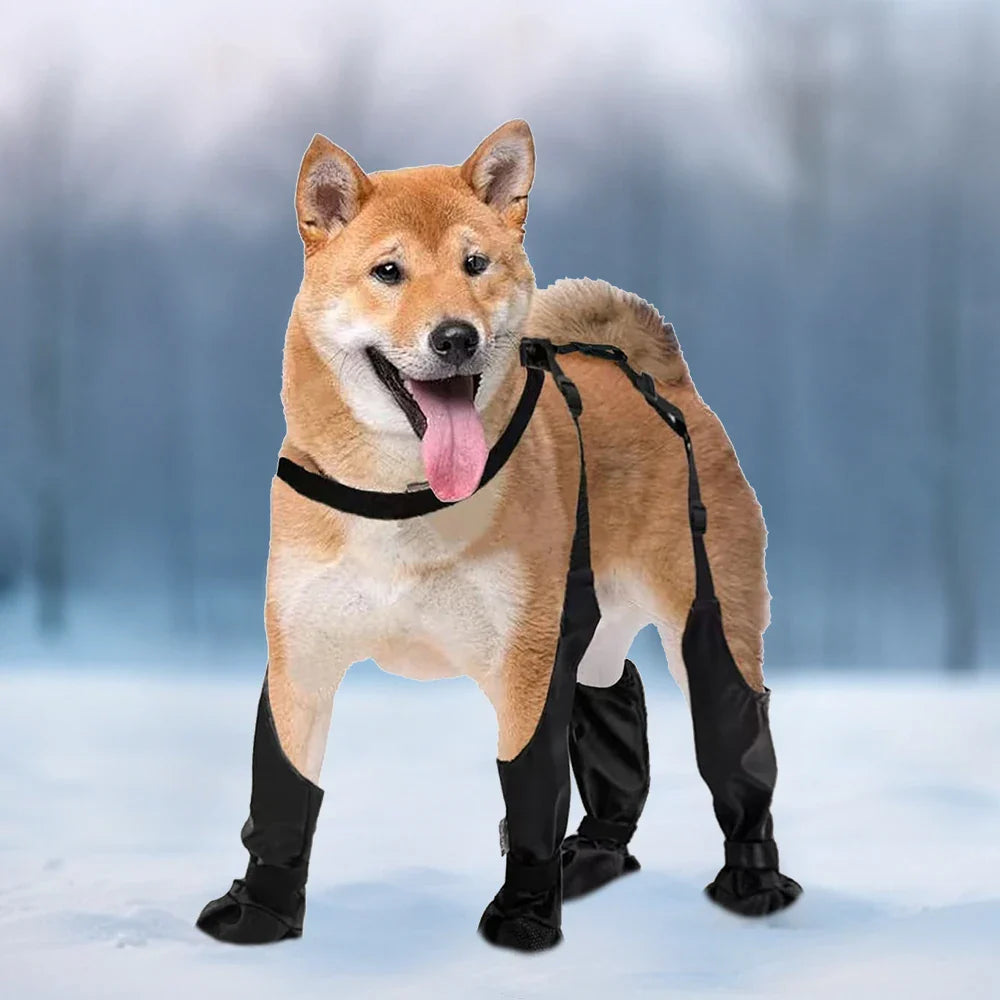 Salopette de protection imperméable pour chiens
