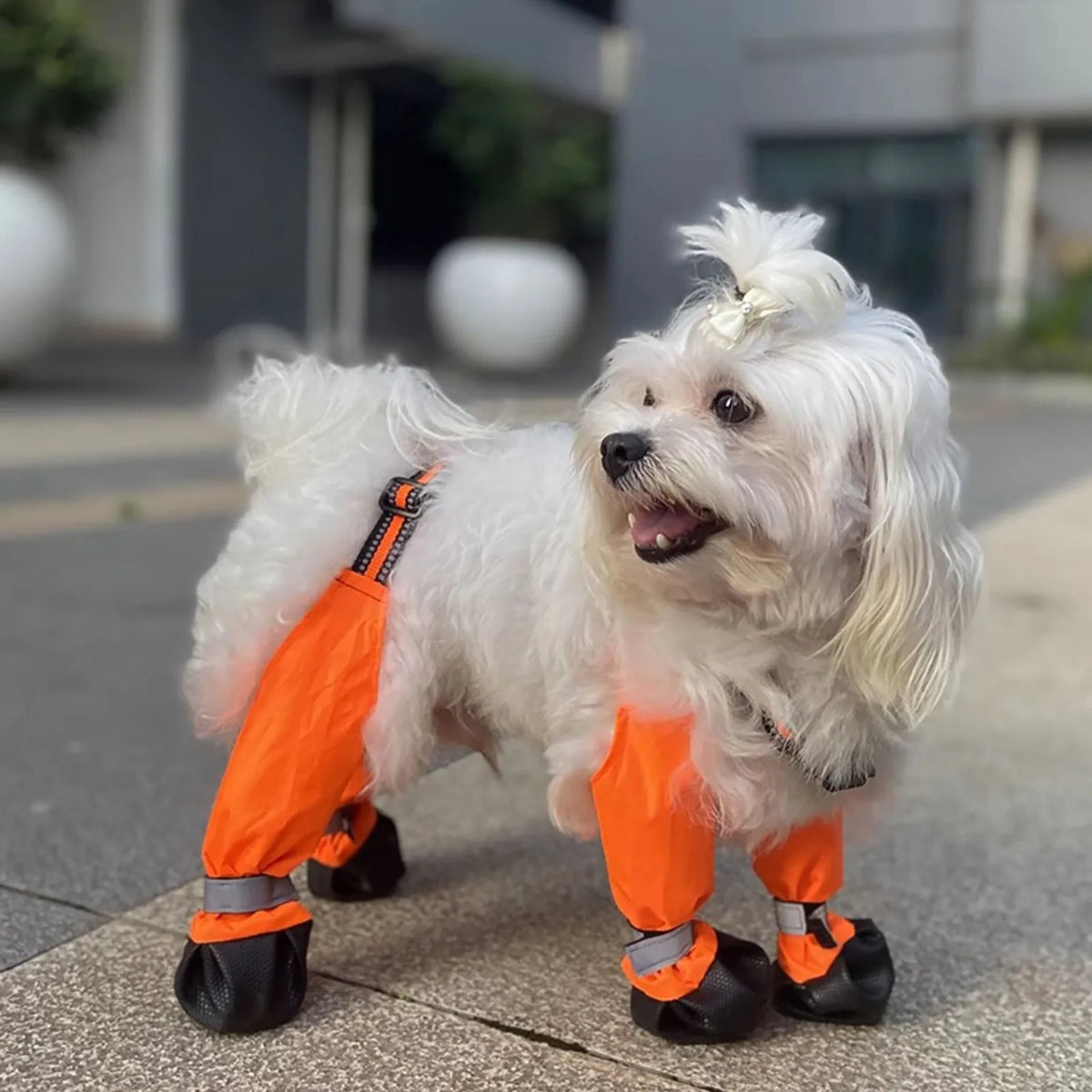 Chaussures imperméables réglables pour chiens avec bretelles