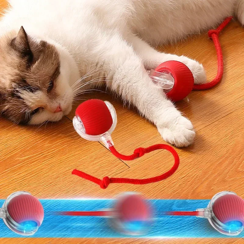 Balle à roulement intelligente pour chat