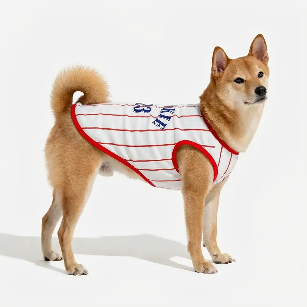 Gilet respirant style sportif pour chiot